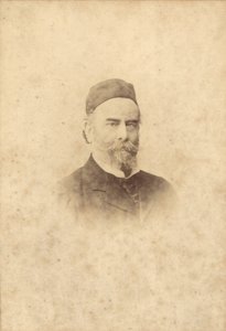 Ritratto fotografico di Alfred Sisley